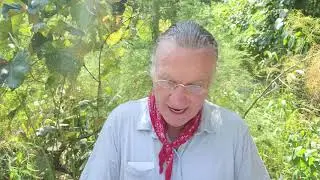 ACIM Lesson 223 with Will E Aug. 11, A Course In Miracles Workbook Year Journey