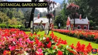 Botanical garden ooty 2020