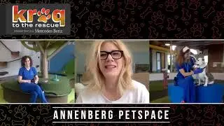KROQ To The Rescue: Annenberg PetSpace in Playa Vista