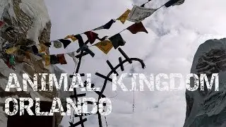 ANIMAL KINGDOM ORLANDO CONSEJOS TIPS DISNEY #ATRACCIONES