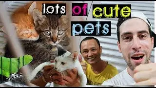 Buying BDAY GIFTS for my Maui Boy | CARTIMAR Pet Store Walkthrough