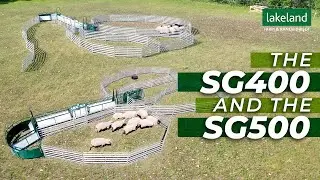 The Lakeland SG400 and SG500 | The Best Sheep and Goat Handling Systems on the Market