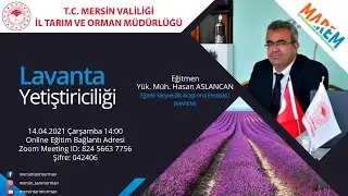 Lavanta Yetiştiriciliği - 14.04.2021