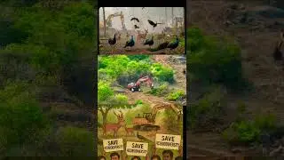 #Save HCU