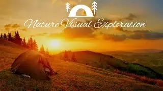 The Beauty of Nature: A Visual Exploration