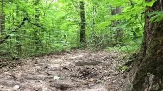 Работа Fox float 34 120 mm Giant Anthem