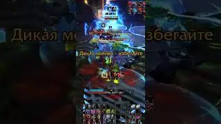 DUNGEON GUIDE - NEST WORLD OF WARCRAFT FIRESTORM.