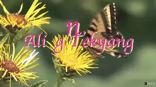 Tagalog Pinoy Reggae Music/The Best Love Song NO COPYRIGHT #nocopyrightmusic #tagaloglovesong