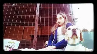 V&yacute;bava pre psa w/Lucky,Bimbo Do popisu videa v&aacute;m d&aacute;m veci, ktor&eacute; som zabudla.