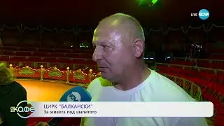 Цирк „Балкански“ - за живота под шапитото - „На кафе“ (08.04.2024)