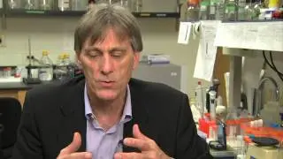 Synthetic Biology: Creating Life in a Lab?