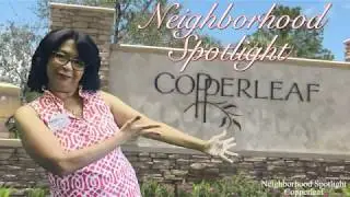 Neighborhood Spotlight-Copperleaf, Palm City