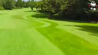 H8:  Longest Hole Birdie Blitz - Maximizing the Tailwind