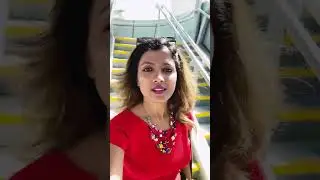 Miracle Garden In Dubai And How to Get There by Using Public Transportation