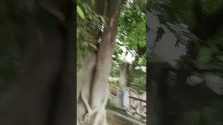 1377 sqrfeet Sharda Nagar Yojana lda colony north park face 9369329388