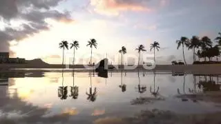 Sunrise Reflection Of A Row Of Palm Trees