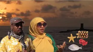 Wax Ka Ogoow Taariikhda Barawe (Chilaani)