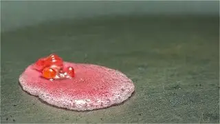 MELTING CANDY & CLASSIC MUSIC