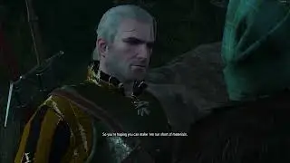 The Witcher 3 || Peace Disturbed Quest