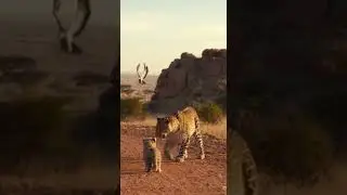 Leopard Mom vs Eagle &mdash; AI Got Dramatic 😭🔥