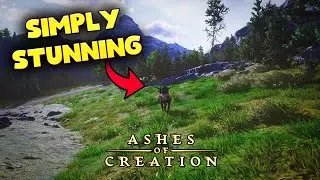 Phase 3 Has Been Incredible - Ashes of Creation Alpha 2