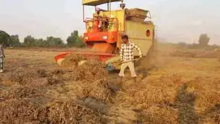 मुंगफली निकलने की इंडिया की पहली कंबाइन हार्वेस्टिंग  कंबाइन Punni Groundnut Harvester