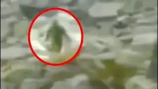 The Junjudee | Australian Bigfoot Caught On Camera