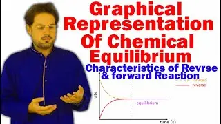 Chemical Equilibrium Graph || macroscopic characteristics of forward and reverse reaction class 10