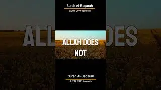 The Quran&rsquo;s Hidden Truth About Hypocrisy, Arrogance & True Faith | Surah Al-Baqarah 2:204&ndash;207