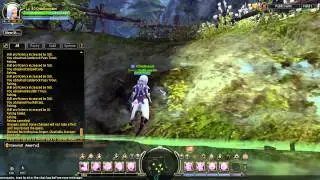 Dragon Nest Farm Glitch
