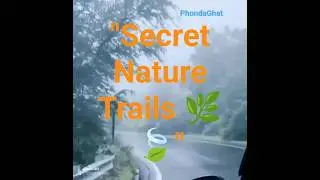 #short fondaghat konkan 🌴 hidden paradise of nature | waterfalls, jungle & travel vibes #nature