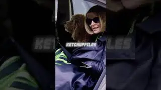 16x9 Anna Wintour Street Style Video Before_Proenza Schouler NYFW FW 23 Show