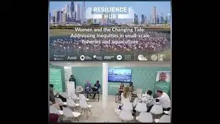 Participation In UN Climate Change Conference (UNFCCC) - COP28 | Dubai | Delegate | Pakistan | UAE