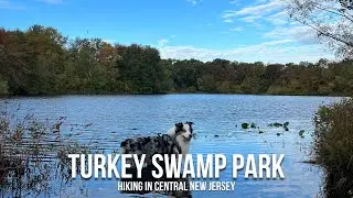 Hiking in Central New Jersey: Turkey Swamp Park