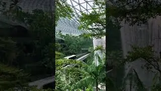 World&rsquo;s Tallest Indoor Waterfall💧🇸🇬