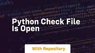 python check file is open