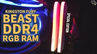 Оперативная память Kingston Fury Beast Special Edition DDR4