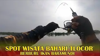 MINNOW FOR BARAMUNDI FISHING AT TLOCOR MARINE TOURISM SIDOARJO, BARAMUNDI FISH ARE ACTIVE IN THE ...
