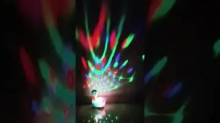 #duck #funny #birds #beautiful #animals #trendingshorts #viral #toys#light