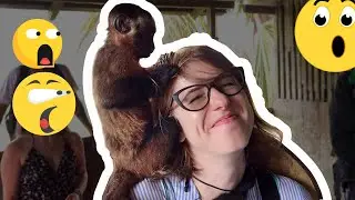 The Cutest Attack - Animal Wildlife Rescue - Amazon Rainforest Colombia