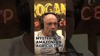 mystery of amazonian agriculture #AmazonMysteries #AncientAgriculture #TerraPreta #LostCivilizations