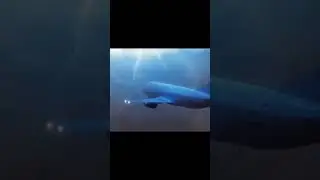 adam air flight 574 crashes into water)edit