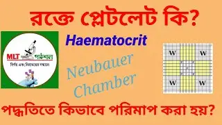 Blood Platelets Count Manual Method. Platelets Count Calculation by Neubauer Chamber.