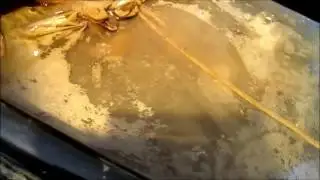 Подура  устранение