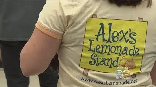Penn Wynne Elementary School Holds Alex's Lemonade Stand To Fight Childhood Cancer