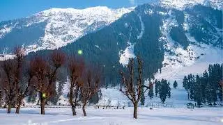 Gentle Chinese Relaxing Music | Guzheng & Dizi with Soothing Female Vocals for Work & Stress Relief
