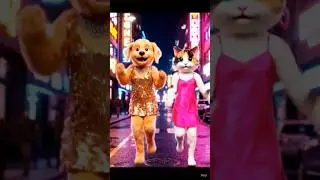 This dog & cat dance is too cute 🥰 | #shorts