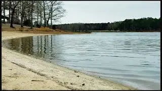 Real Lake Water Sounds 4K | Calm Through Nature (No Music, Pure Nature)