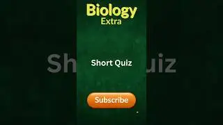 Cell Cycle and Cell Division MCQs