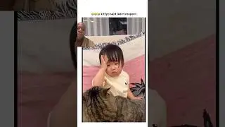 Cats will show you who&rsquo;s boss #Baby #cat at #Respect